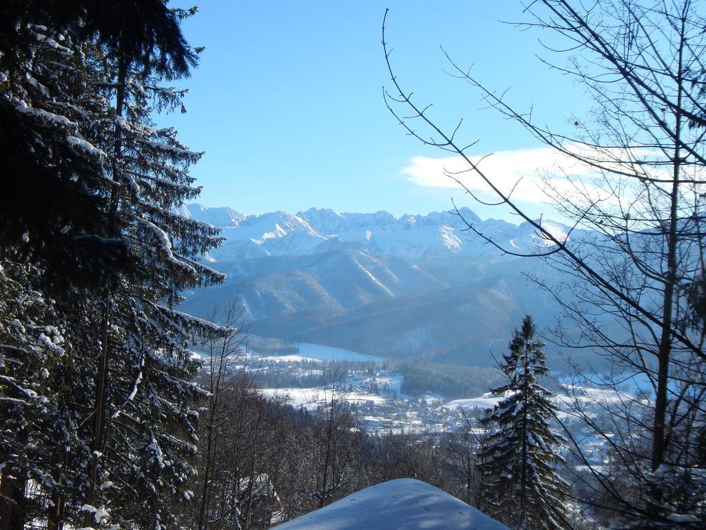 Chata Stacha Villa Zakopane Buitenkant foto