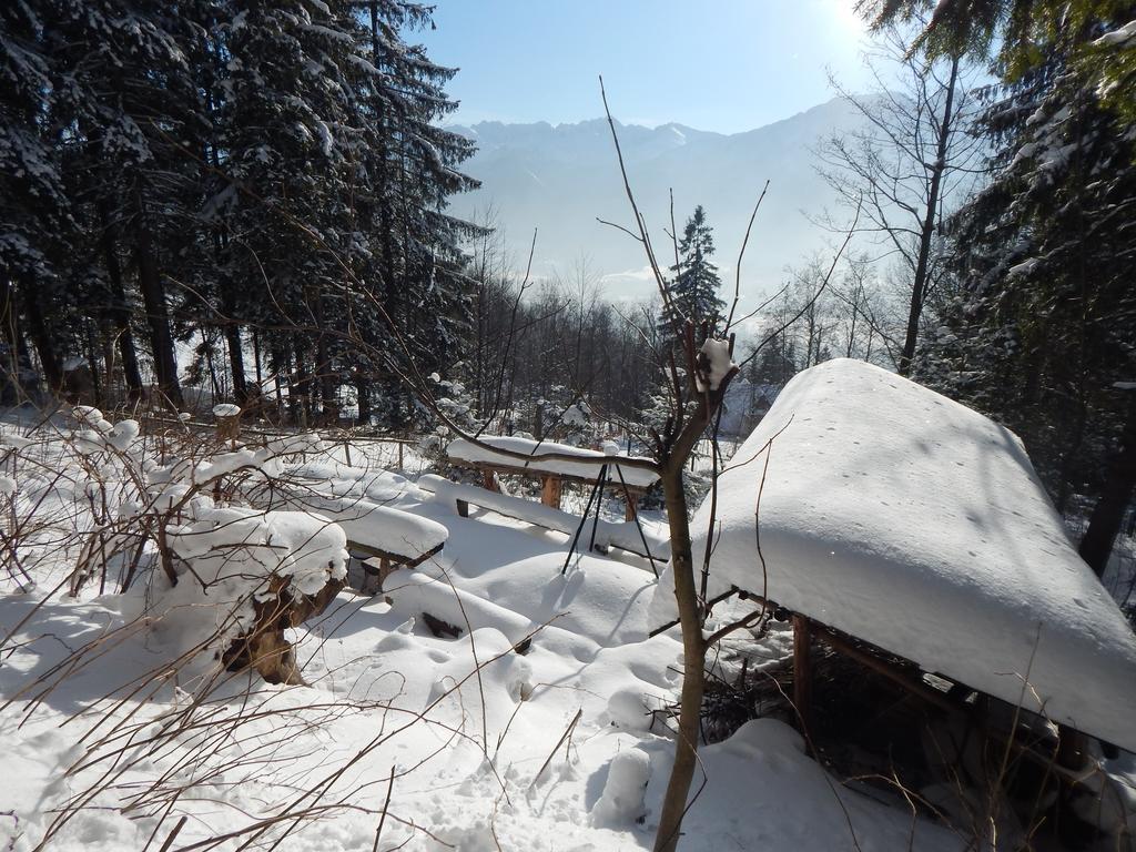 Chata Stacha Villa Zakopane Buitenkant foto
