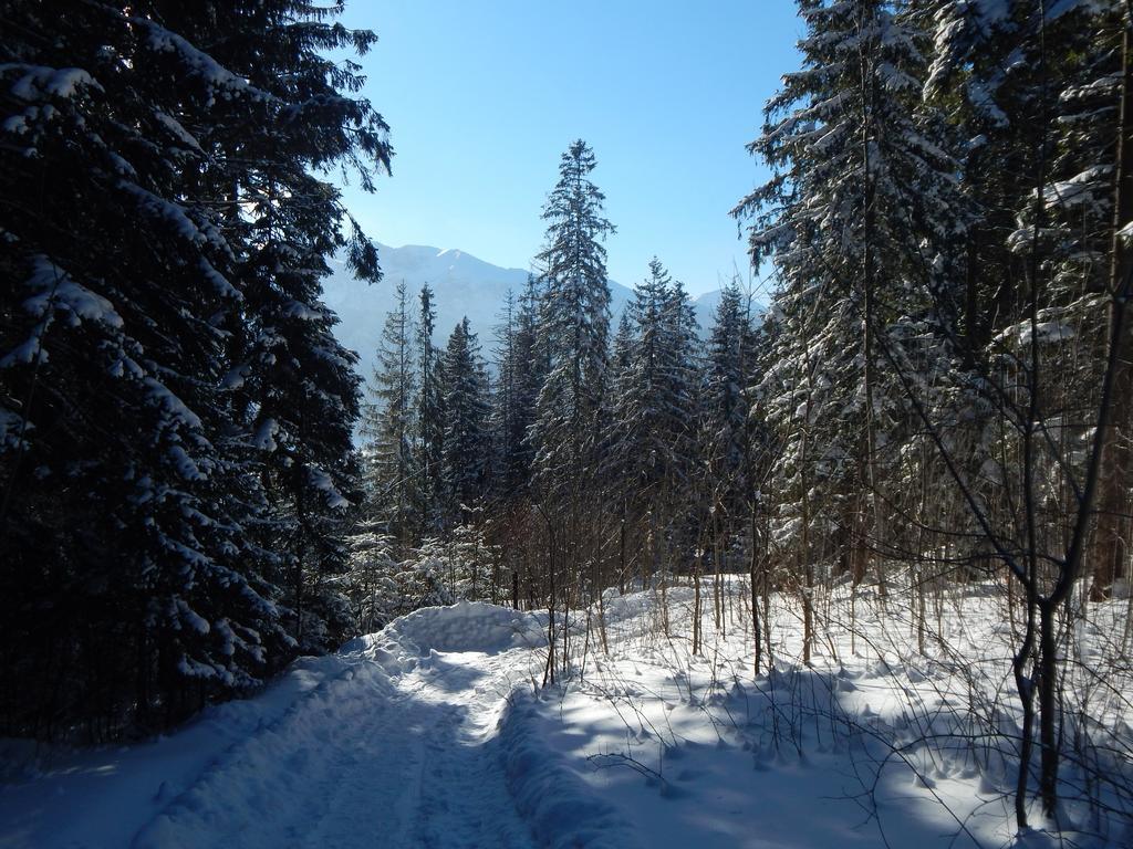 Chata Stacha Villa Zakopane Buitenkant foto