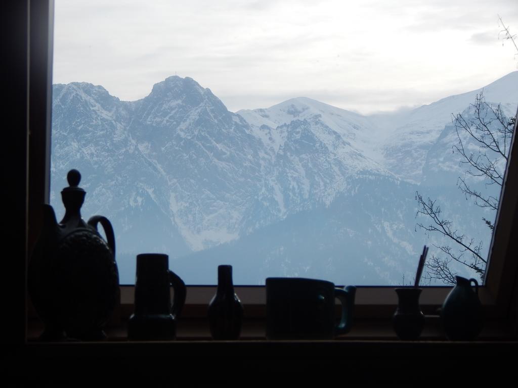 Chata Stacha Villa Zakopane Buitenkant foto